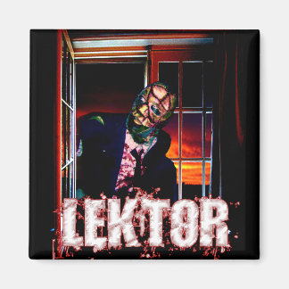 Lektor magneet 1