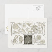 Lekvorming Briefkaart (Voorkant / Achterkant)