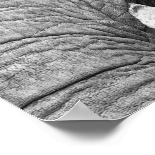 L'Elephant Print - Groot (Hoek)