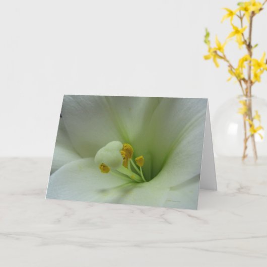 Lelie 1 Kaart (Gele Bloem)