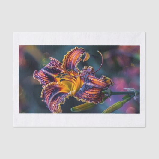 Lelie Bloem4 Tissuepapier (Voorkant)