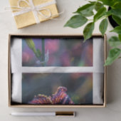 Lelie Bloem4 Tissuepapier (Geschenk)