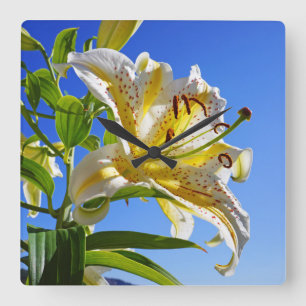 Lelie Bloemen Muurklokken Wit Gele Lelie Vierkante Klok