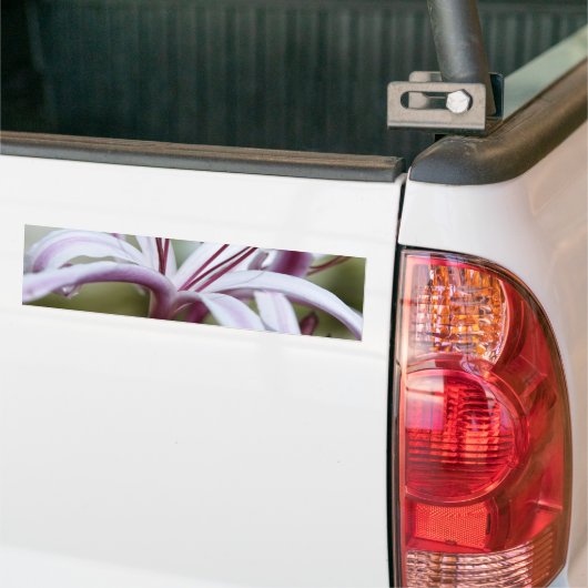 Lelie Bumpersticker (Op Truck)