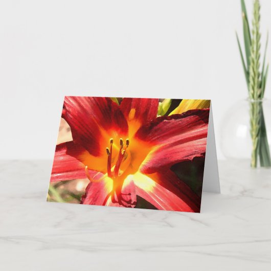 Lelie Kaart (Voorkant)