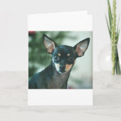 Lelie Kaart (Voorkant)