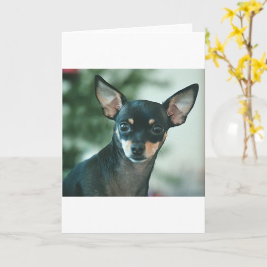 Lelie Kaart (Gele Bloem)