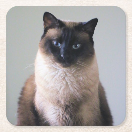 Lelie Kartonnen Onderzetters (Voorkant)