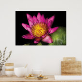 Lelie - Nymphaea Ruby - Passie Poster (Keuken)