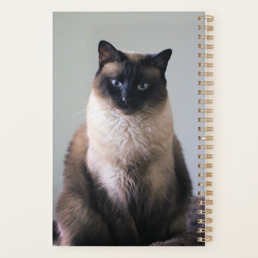 Lelie Planner (Achterkant)