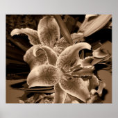 lelie poster (Voorkant)