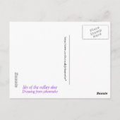 lelie van de dal briefkaart (Achterkant)