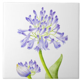 Lelie van de Nijl op een keramische Tegel Tegeltje