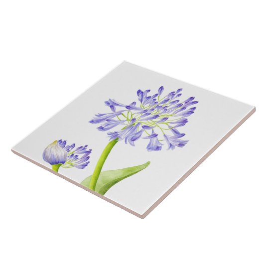 Lelie van de Nijl op een keramische Tegel Tegeltje (Zijkant)