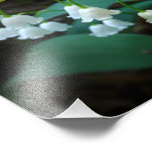 lelie van de vallei foto afdruk (Hoek)