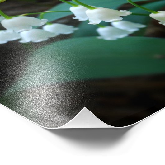 lelie van de vallei foto afdruk (Hoek)