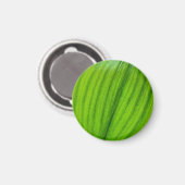 Lelie van de Vallei Magnet (Voorkant / Achterkant)