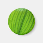 Lelie van de Vallei Magnet (Voorkant)