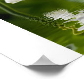 lelie van de vallei poster (Hoek)