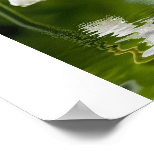 lelie van de vallei poster (Hoek)