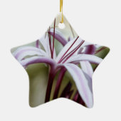 Lelieornamenten Keramisch Ornament (Achterkant)