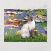 Lelies 2 - Blue Point Siamese kat Briefkaart (Voorkant)