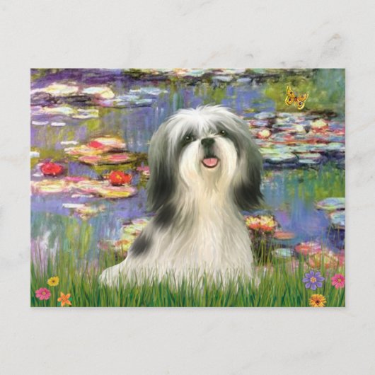 Lelies (#2) - Shih Tzu #3 Briefkaart (Voorkant)
