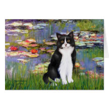 Lelies 2 - Zwart-witte kat