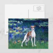 Lelies 5 - Italiaanse Windhond Briefkaart (Voorkant / Achterkant)