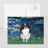 Lelies 5 - Japanse Chin 3 Briefkaart (Voorkant / Achterkant)