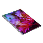 Lelies Bloemenjournaal of Notitieboek (Rechterzijde)