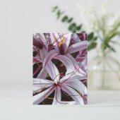 Lelies Briefkaart (Staand voorkant)