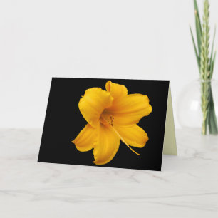 Lelies en narcissen Wenskaart Kaart