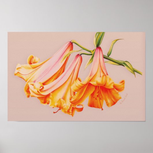 "Lelies" fijnkunst botanische posterprint Poster (Voorkant)