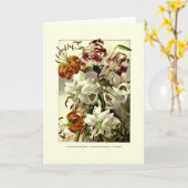 Lelies Kaart (Gele Bloem)