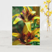 lelies van de gebieden kaart (Gele Bloem)