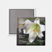 Lelies van het veld - Magnet (Voorkant / Achterkant)