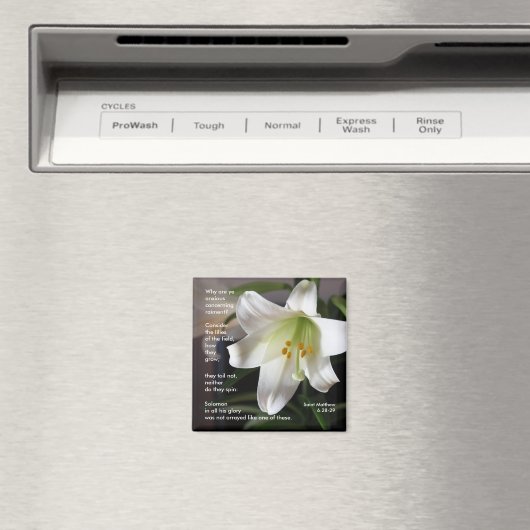 Lelies van het veld - Magnet (Insitu (Vaatwasser))