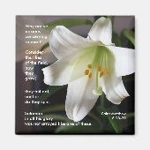 Lelies van het veld - Magnet (Voorkant)