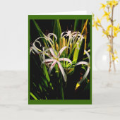 Lelies-Wenskaart Kaart (Gele Bloem)