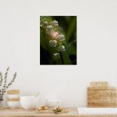 Lelietje-van-dalen bloem poster (Keuken)