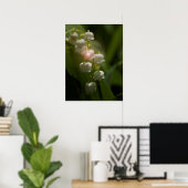 Lelietje-van-dalen bloem poster (Thuiskantoor)