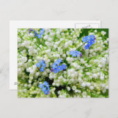 Lelietje-van-dalen Briefkaart (Voorkant / Achterkant)