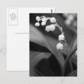 Lelietje-van-dalen Briefkaart (Voorkant / Achterkant)