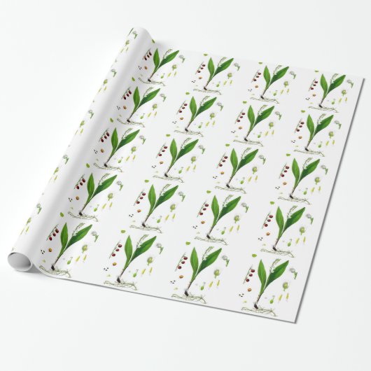 Lelietje-van-dalen Cadeaupapier (Uitgerold)