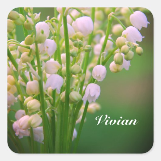Lelietje-van-dalen gepersonaliseerd vierkante sticker (Voorkant)