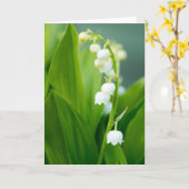 Lelietje-van-dalen Kaart (Gele Bloem)