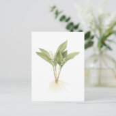 Lelietje-van-dalen (majalis Convallaria) door Briefkaart (Staand voorkant)