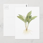 Lelietje-van-dalen (majalis Convallaria) door Briefkaart (Voorkant / Achterkant)