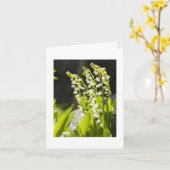 Lelietje-van-dalen van mijn tuin…. kaart (Gele Bloem)
